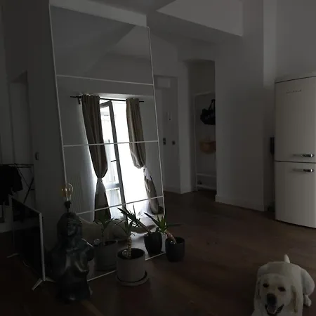 In Zentrum Apartamento *